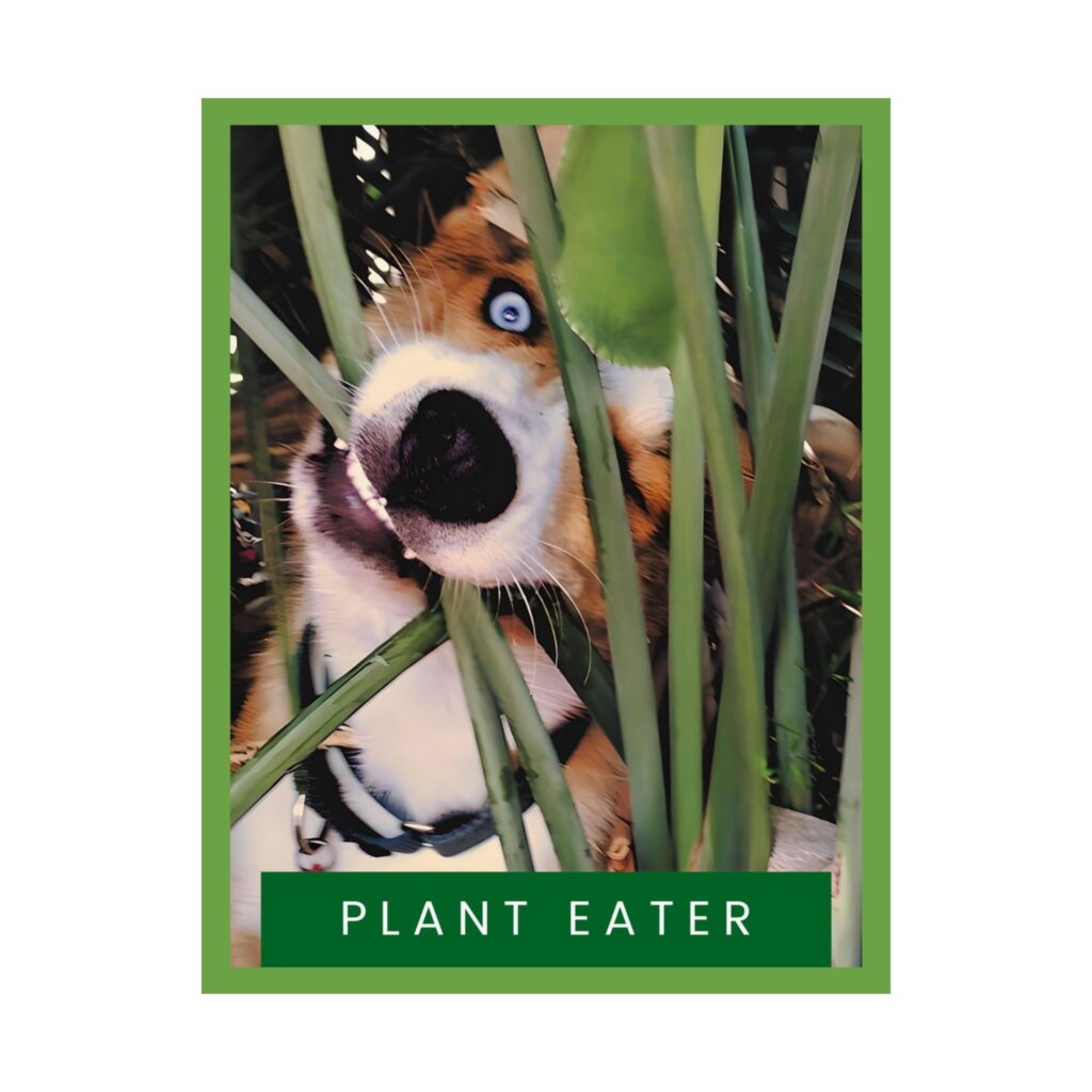 Plant Eater Print